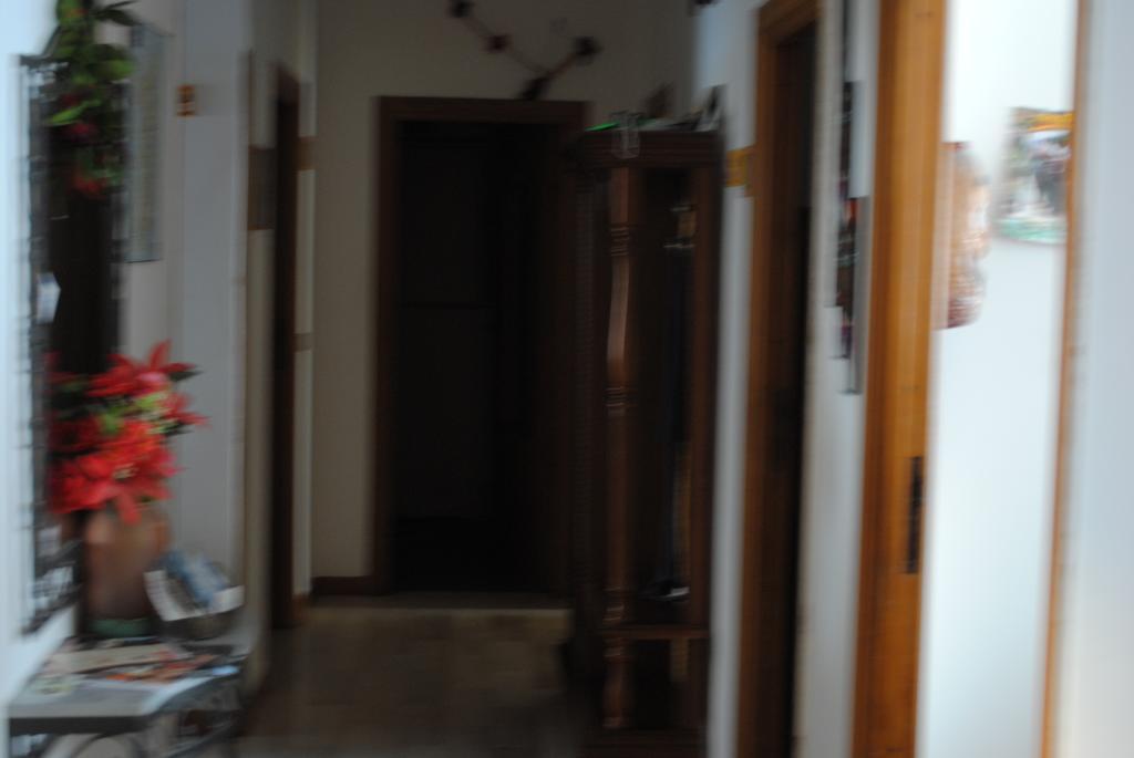 Calciufetta Bed & Breakfast Alghero Exterior photo